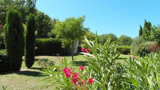  Maison � louer 1 pi�ce 26 m�