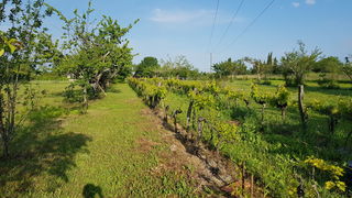  Maison � vendre 3 pi�ces 70 m�