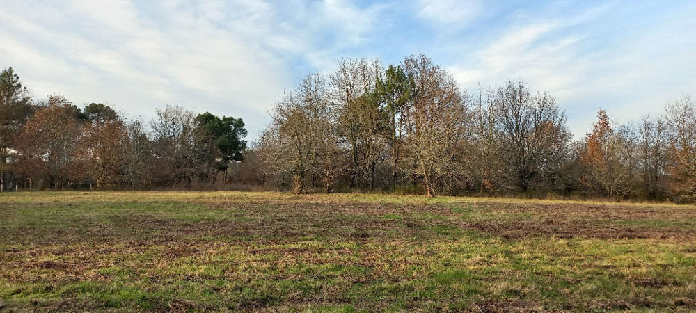 Maisons neuves   Saint-Laurent-des-Hommes (24400)