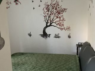  Villa � louer 2 pi�ces 33 m�