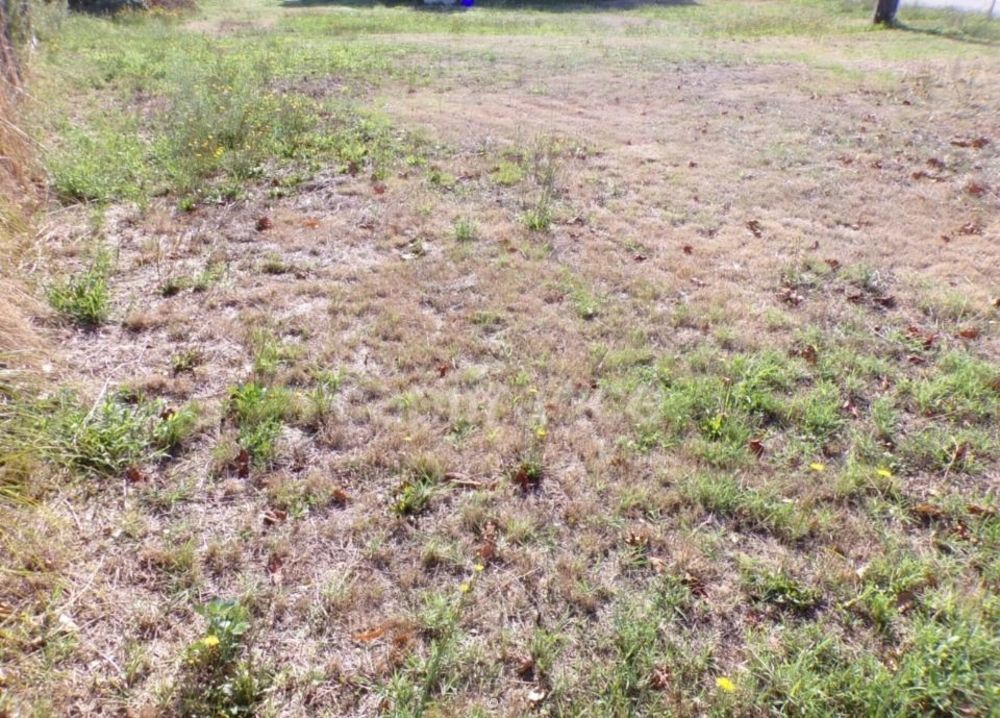 Terrains � batir   Le Teich (33470)