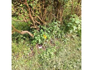  Terrain � vendre 986 m�