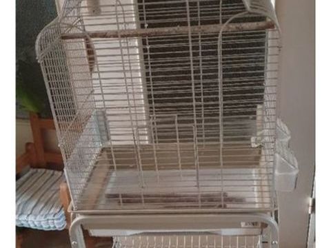 Cage oiseaux 30 35530 Brc