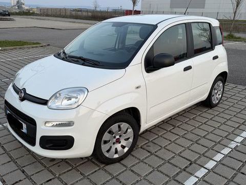 Fiat Panda 1.2 8V 69 ch Easy 2015 occasion Sierentz 68510