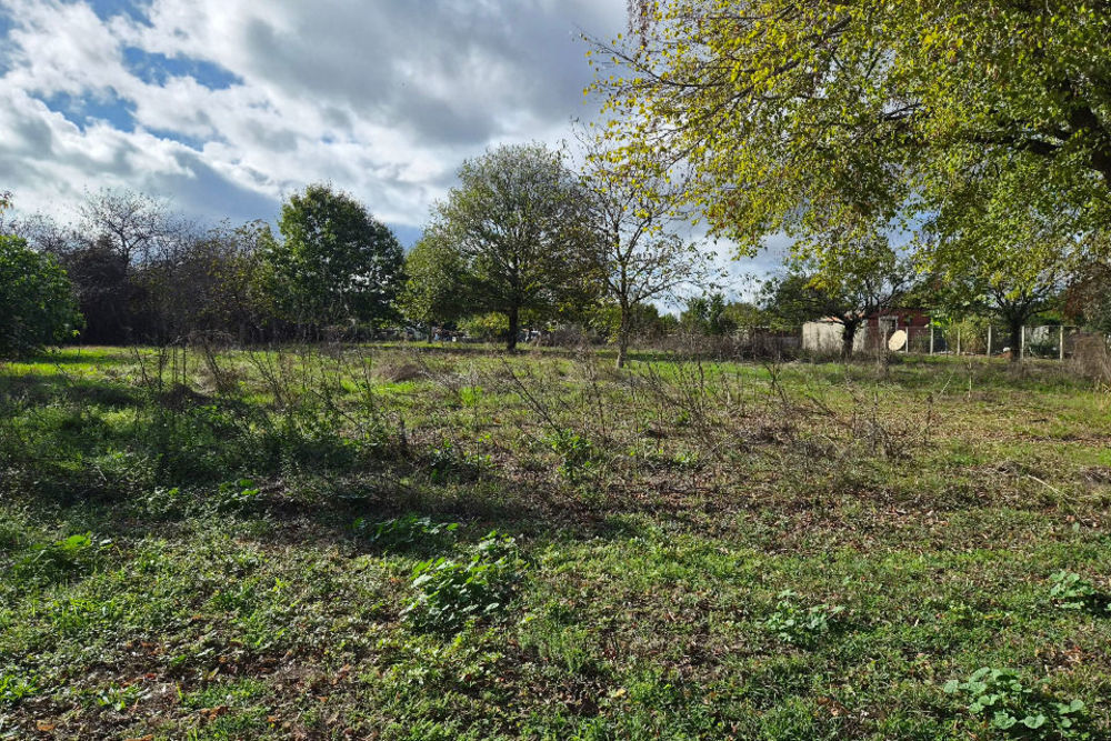 Maisons neuves   Porchères (33660)