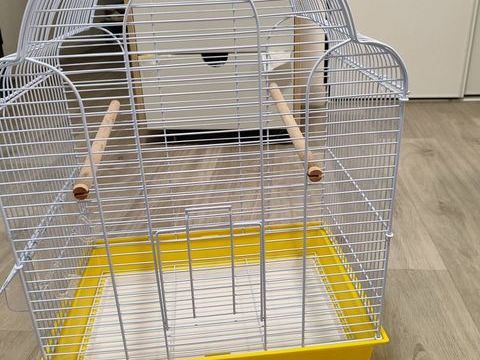 Une cage d'oiseau 30 06200 Nice