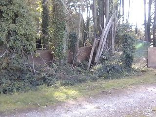  Terrain � vendre 7400 m�