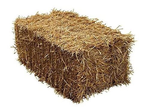 foin 2 17210 Chevanceaux