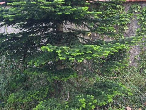   Studio en rdc proche gare dans maison bourgeoise loyer 750�  Appartement - 1 pi�ce(s) - 22 m�