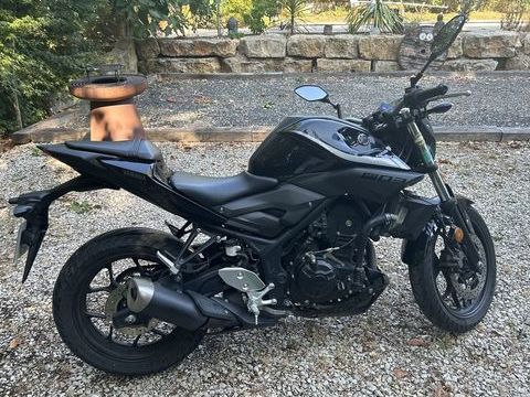 Moto YAMAHA 2018 occasion Pazayac 24120