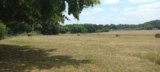  Terrain à vendre 