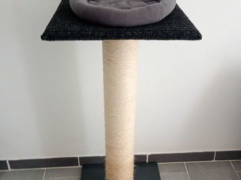 accessoires pour chat 100 97200 Martinique