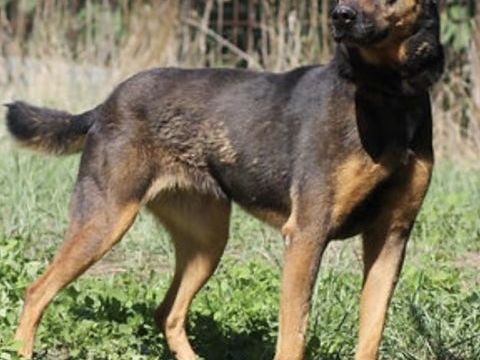 Pakita 230 26700 Pierrelatte