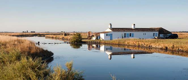 Agence BEAUVOIR IMMOBILIER Beauvoir-sur-Mer