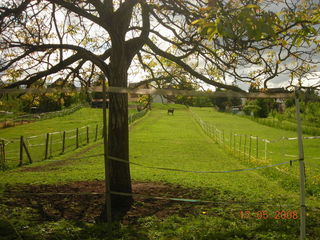  Terrain � vendre 976 m�