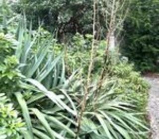  Appartement � vendre 2 pi�ces 30 m�