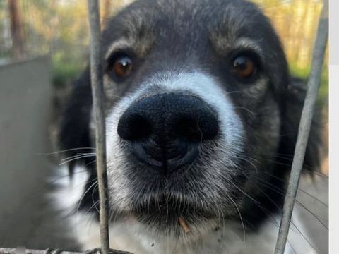 LUCKY 300 27620 Gasny