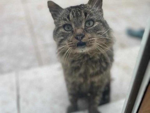 Brigand 190 44000 Nantes