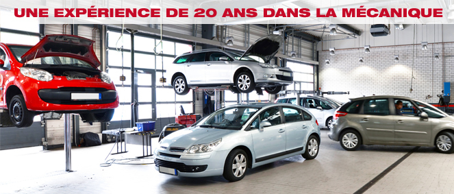 GARAGE DU PLATEAU, concessionnaire 82