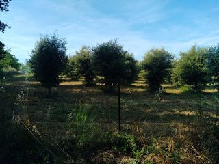  Terrain � vendre 3065 m�