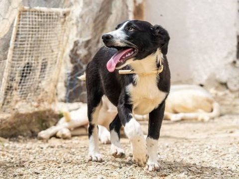 Thelma 300 28130 Pierres