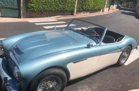 Austin Autres healey 2+2 1957 occasion Vallauris 06220