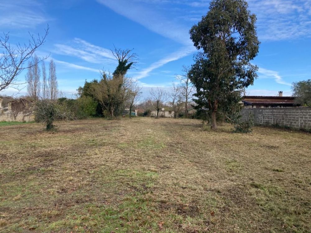   Saint-Vivien-de-M�doc (33590)