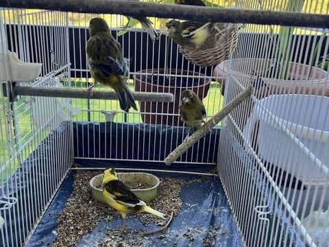 Canaris 25 34070 Montpellier