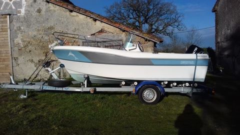 Bateaux &agrave; moteur P&ecirc;che-promenade 2011 occasion La Chapelle-Saint-Laurent 79430