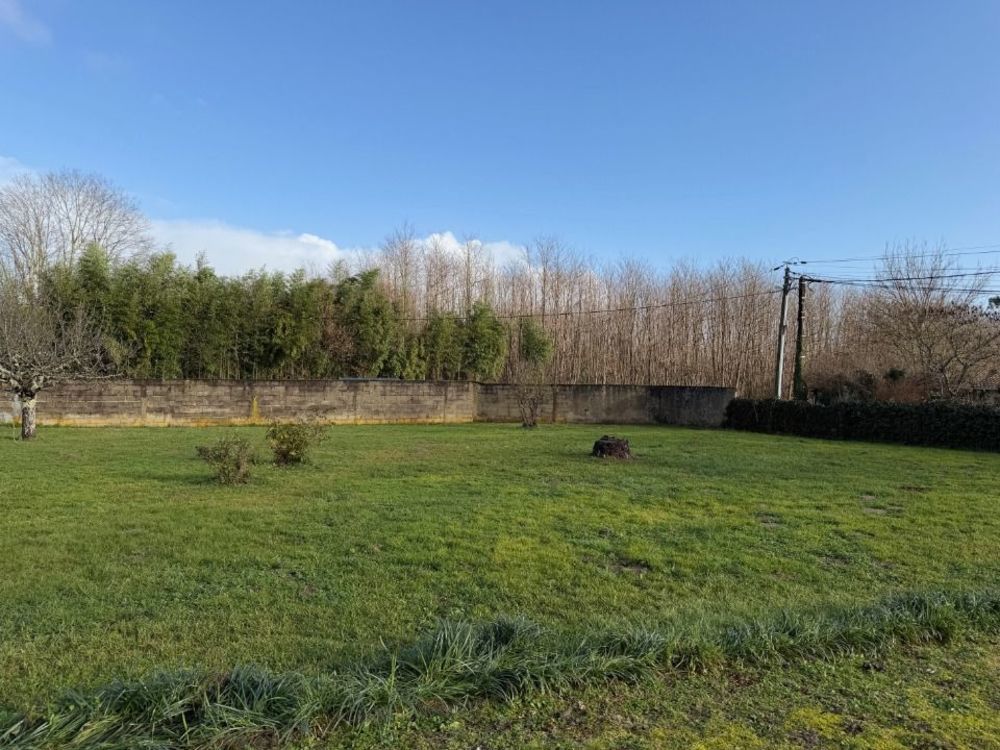 Maisons neuves   Landiras (33720)