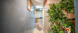  Appartement � louer 5 pi�ces 75 m�