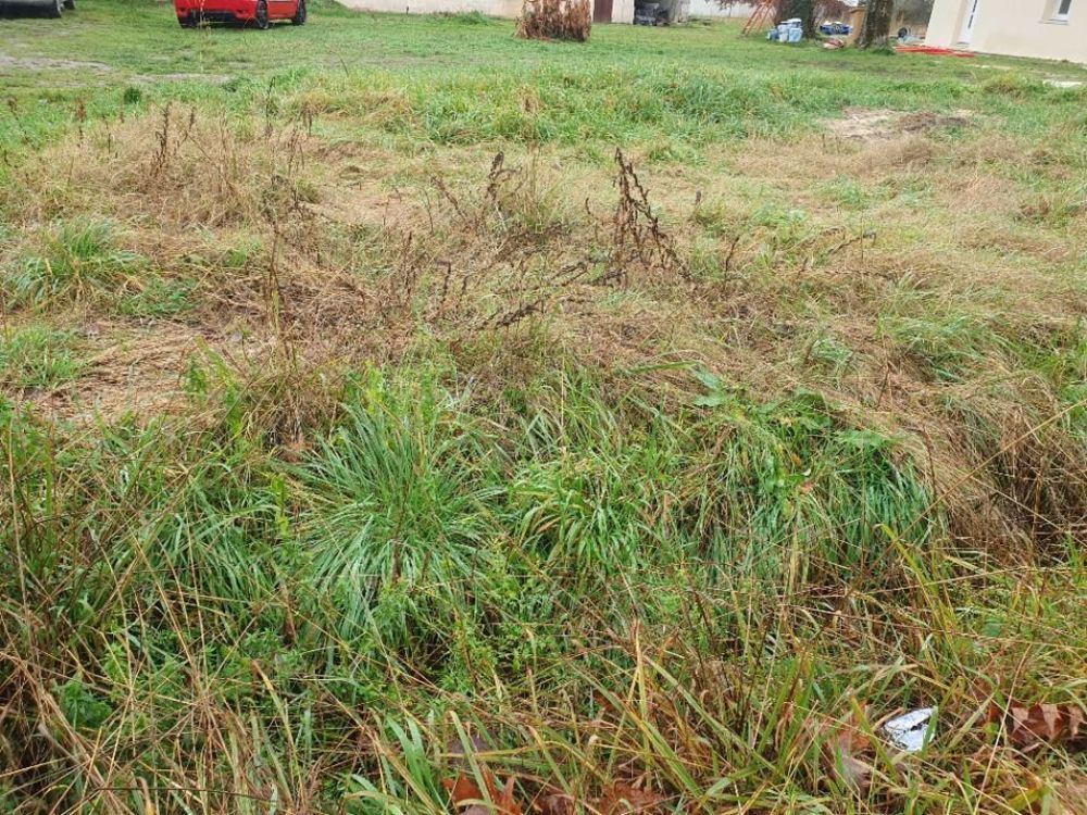 Maisons neuves   Laruscade (33620)