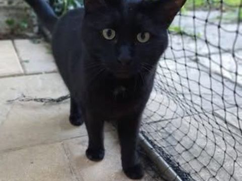 ALDO 75 95420 Arthies