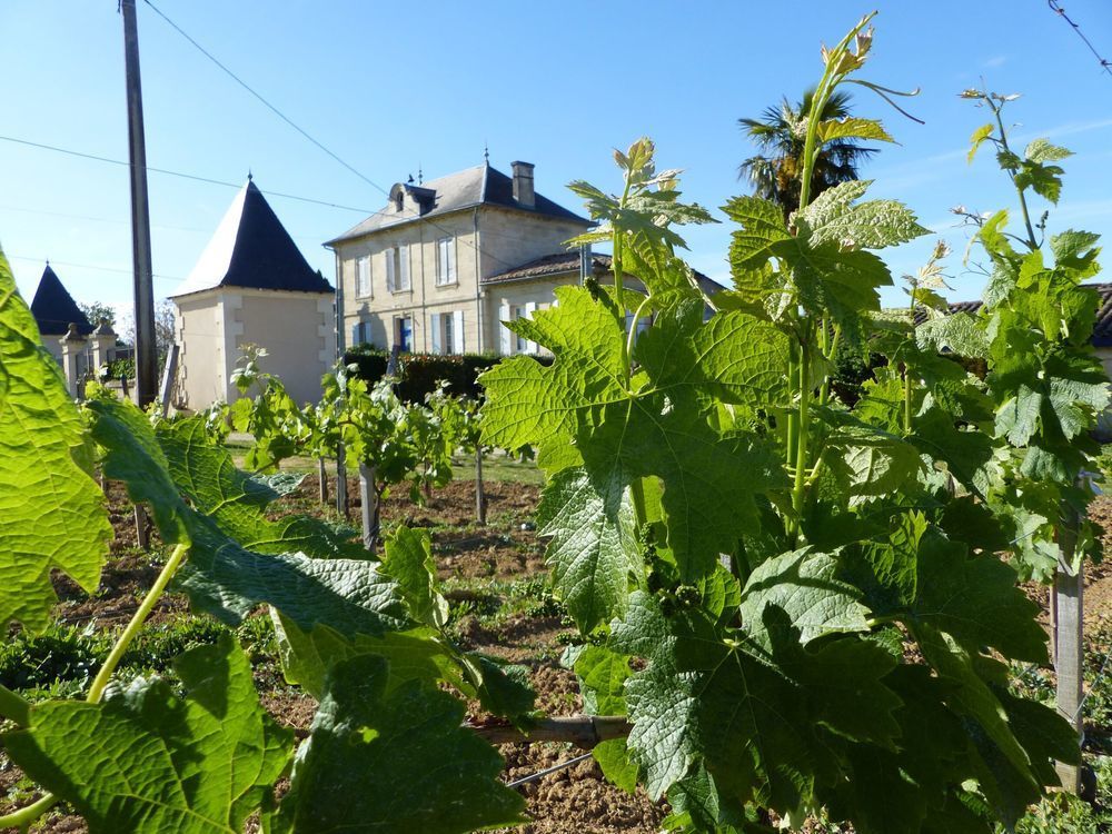 � vendre  Propri�t�/ch�teau Bordeaux (33000)