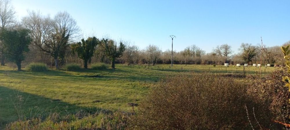 Maisons neuves   Ménesplet (24700)