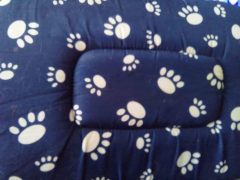 Sac de transport comme neuf bleu avec empreintes de pattes 7 77100 Meaux