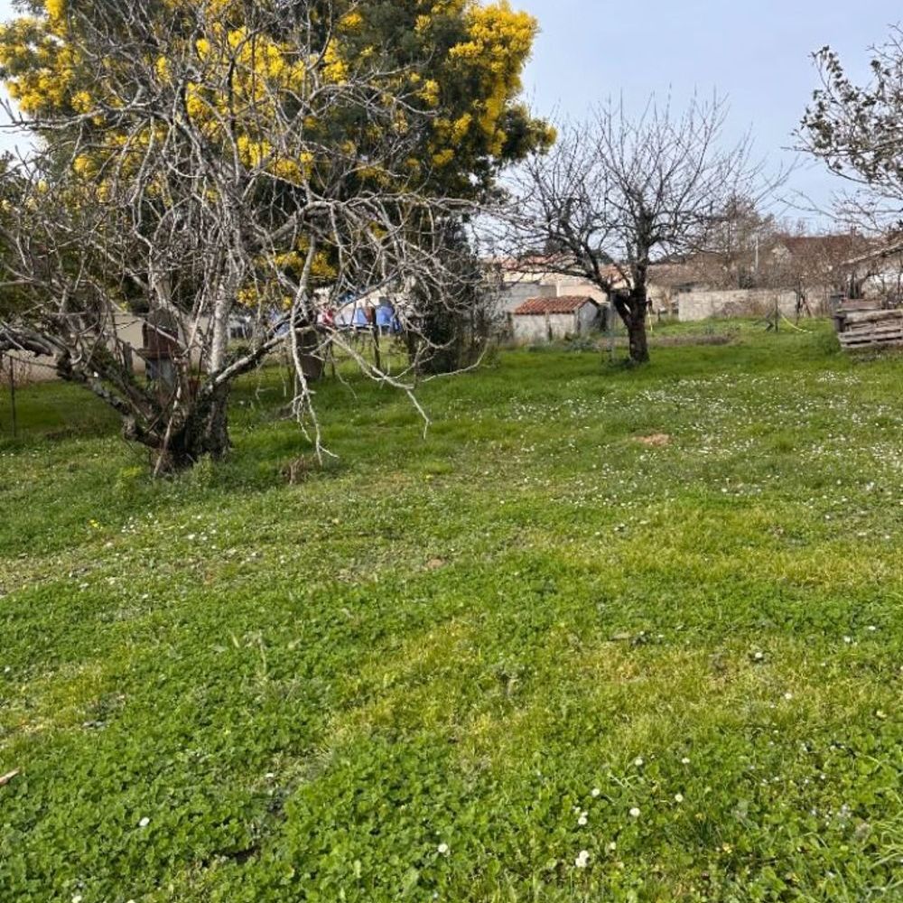 Maisons neuves   Saint-M�dard-de-Guizi�res (33230)