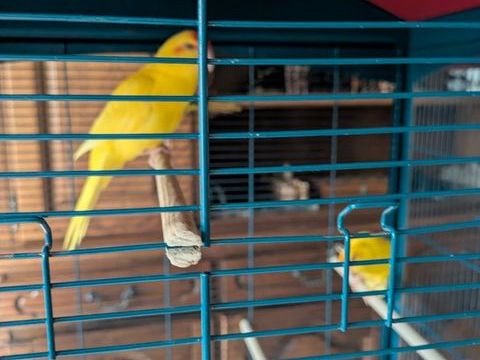 kakarikis 25 51130 Clamanges