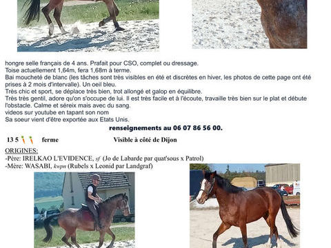 sf 4 ans look unique bai mouchet&eacute; peuil bleu 13500 21410 Fleurey-sur-ouche