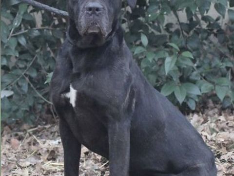 Prada 230 26700 Pierrelatte