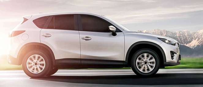 DIRECT AUTO 66, concessionnaire 66