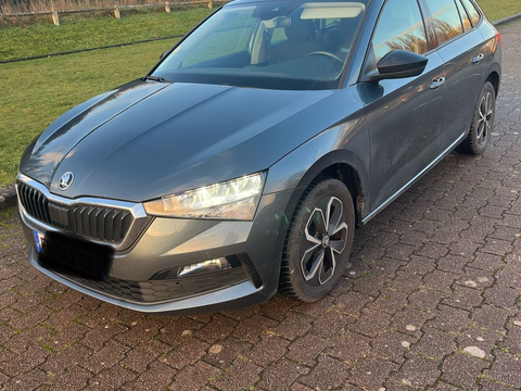 Skoda Scala 1.6 TDI 116 ch BVM6 Ambition 2020 occasion Villers-Bocage 14310