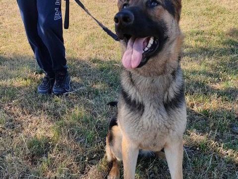 MAIRA 200 26100 Romans-sur-is�re