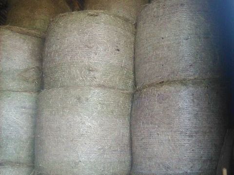 foin 2025 25 25260 Montenois