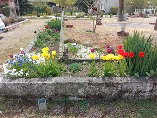  Maison � louer 3/4 pi�ces 60 m�