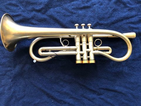 Trompette Monette type Flumpet  6500 Wimereux (62)