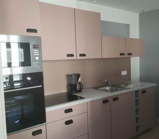  Appartement � louer 2 pi�ces 55 m�