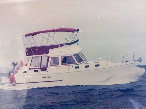 Bateaux &agrave; moteur P&ecirc;che-promenade 1986 occasion Saint-Martin 97150