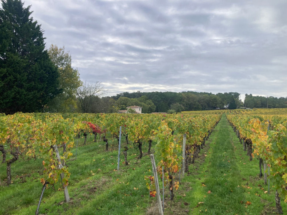   Saint-Sauveur-de-Puynormand (33660)