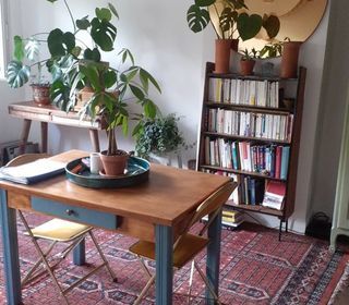  Appartement � louer 3 pi�ces 50 m�